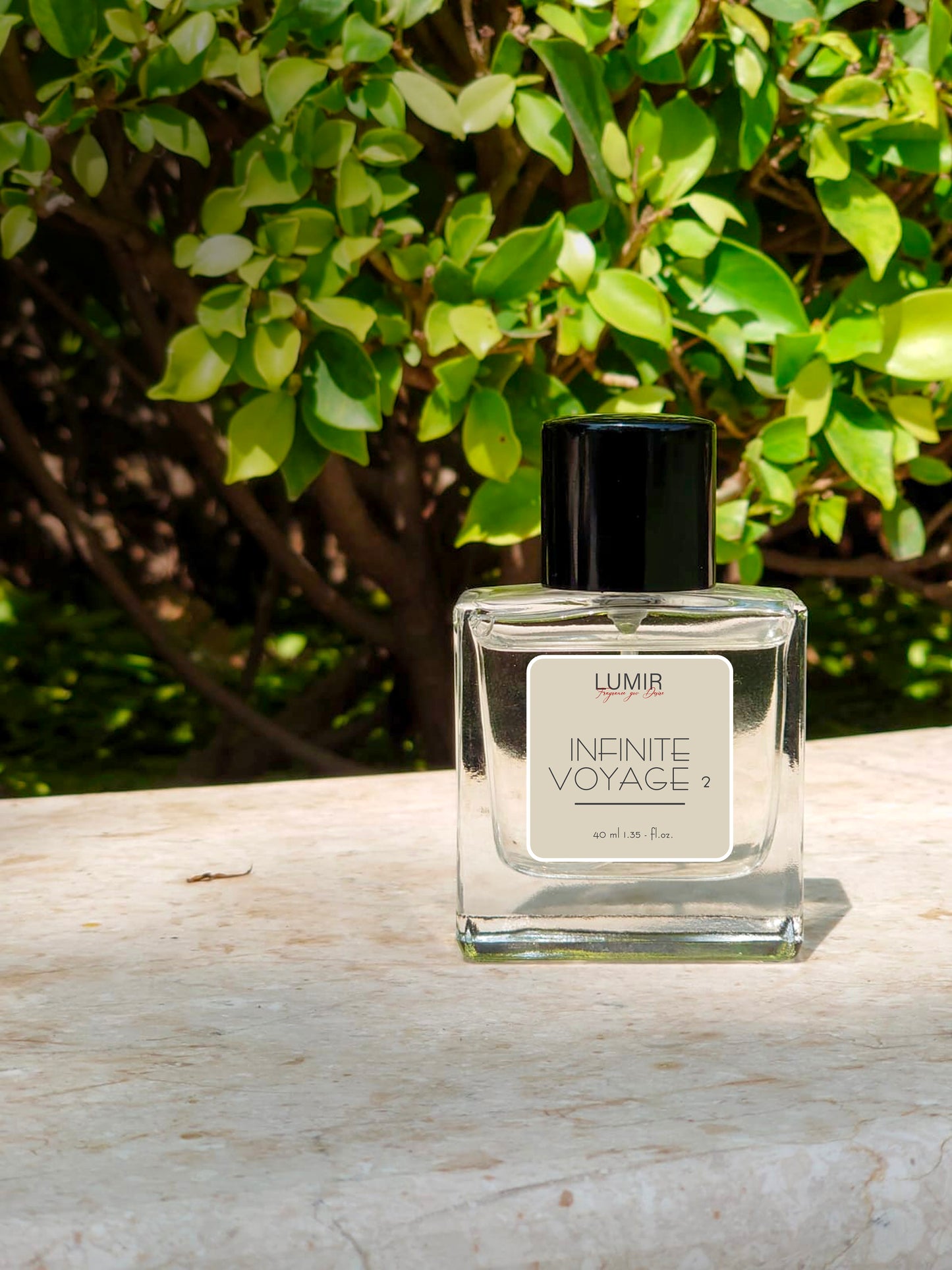 Infinite Voyage 2: A New Chapter of Discovery (Afternoon swim+Imagination)