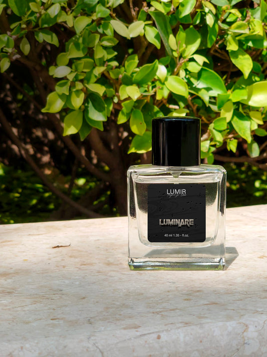 Luminare: The Scent of Pure Light (LV Imagination)